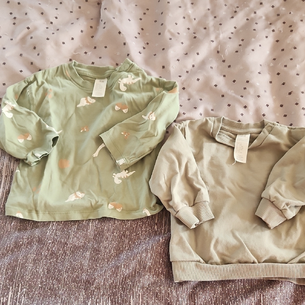 9M Green Dinosaur Set